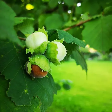 Nyaraló Del Fiume - Le Vecchie Vasche