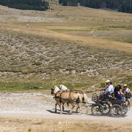Del Fiume - Le Vecchie Vasche Scoppito
