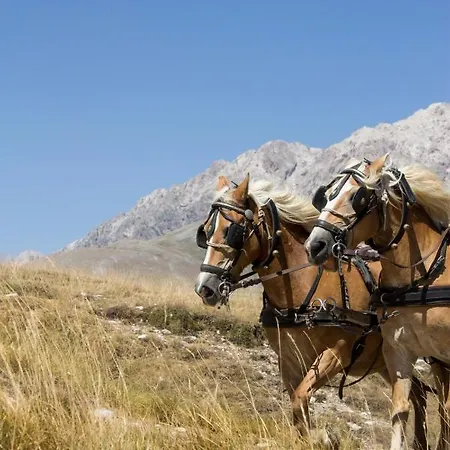 Del Fiume - Le Vecchie Vasche Scoppito