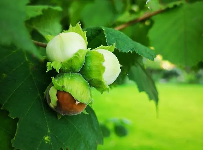 別荘 Del Fiume - Le Vecchie Vasche