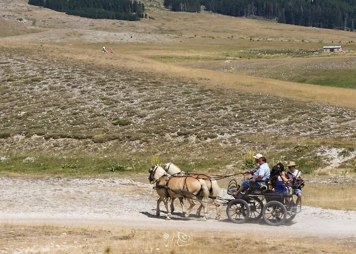 Del Fiume - Le Vecchie Vasche Scoppito
