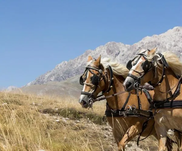 Del Fiume - Le Vecchie Vasche Scoppito